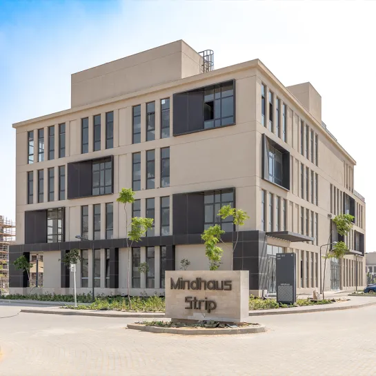 MindHaus Strip